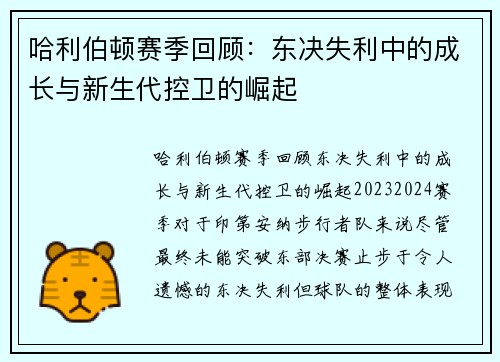 哈利伯顿赛季回顾：东决失利中的成长与新生代控卫的崛起