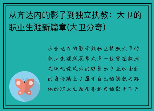 从齐达内的影子到独立执教：大卫的职业生涯新篇章(大卫分奇)